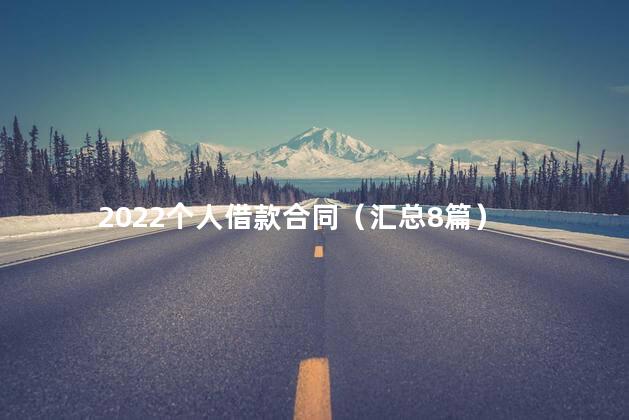 2022个人借款合同（汇总8篇）