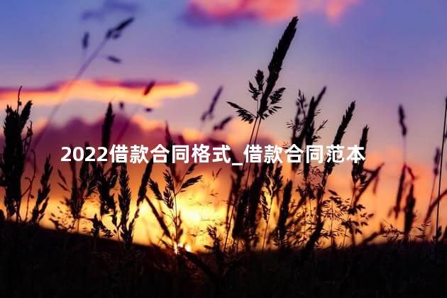 2022借款合同格式_借款合同范本