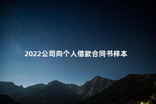 2022公司向个人借款合同书样本