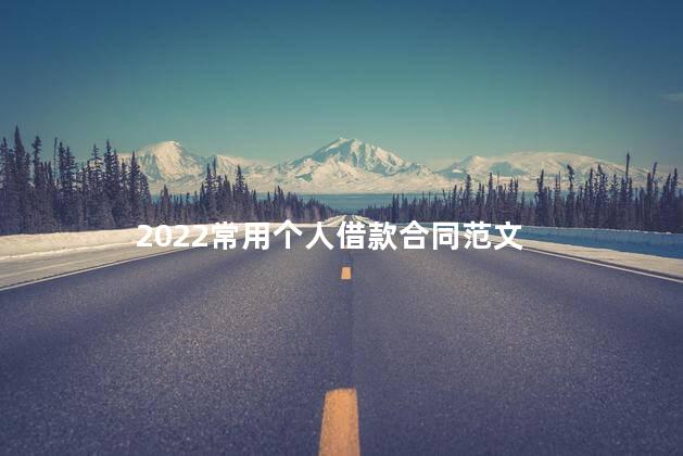 2022常用个人借款合同范文