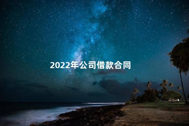 2022年公司借款合同