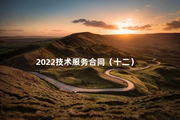 2022技术服务合同（十二）