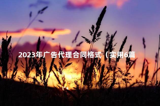 2023年广告代理合同格式（实用6篇）