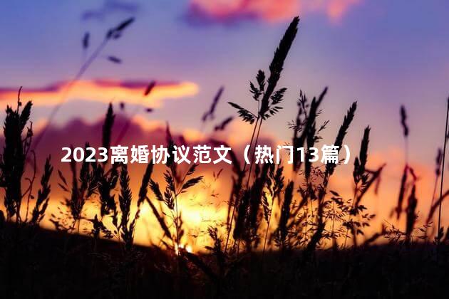 2023离婚协议范文（热门13篇）