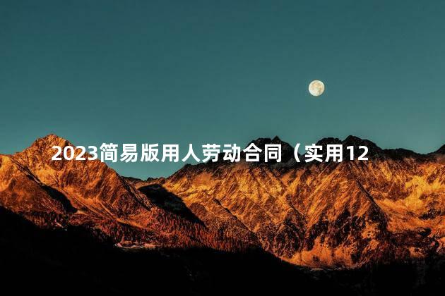 2023简易版用人劳动合同（实用12篇）