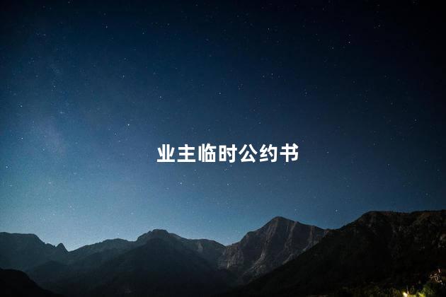 业主临时公约书