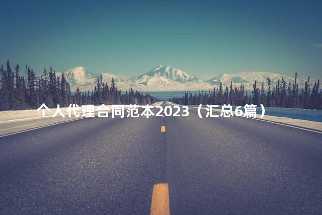 个人代理合同范本2023（汇总6篇）