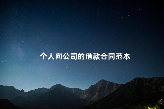 个人向公司的借款合同范本