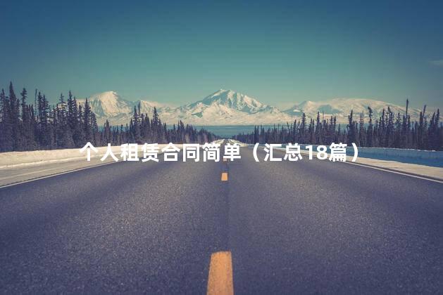 个人租赁合同简单（汇总18篇）