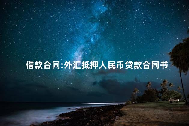 借款合同:外汇抵押人民币贷款合同书