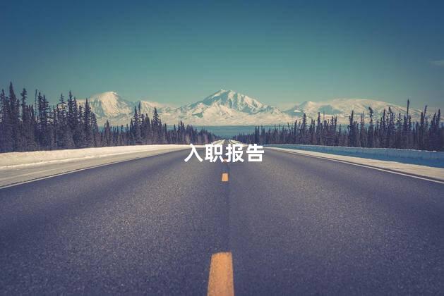 入职报告
