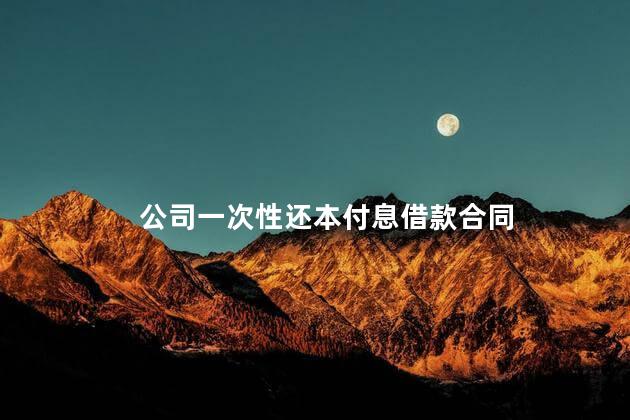 公司一次性还本付息借款合同