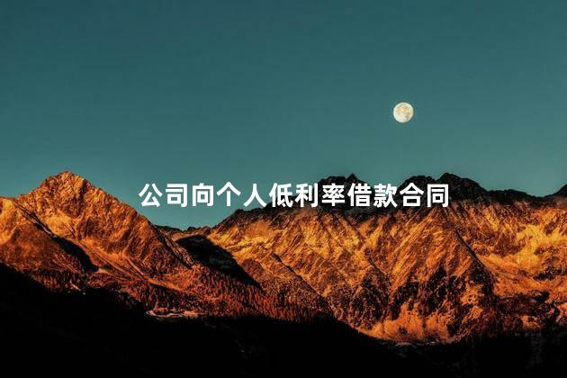 公司向个人低利率借款合同