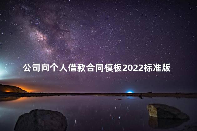 公司向个人借款合同模板2022标准版