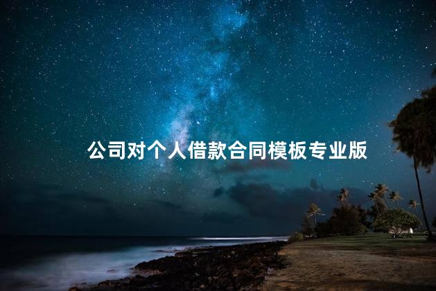 公司对个人借款合同模板专业版