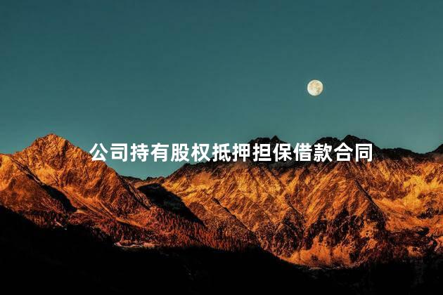 公司持有股权抵押担保借款合同