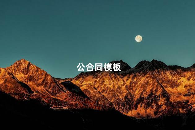 公合同模板