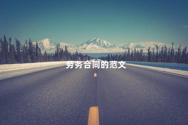 劳务合同的范文