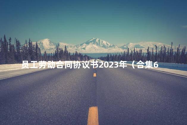 员工劳动合同协议书2023年（合集6篇）