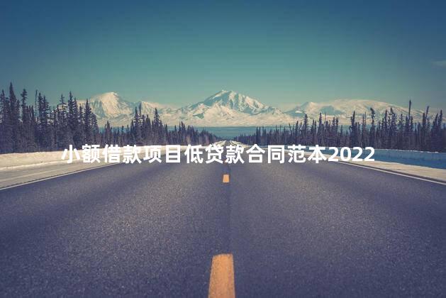 小额借款项目低贷款合同范本2022