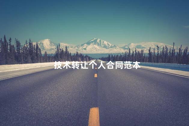技术转让个人合同范本