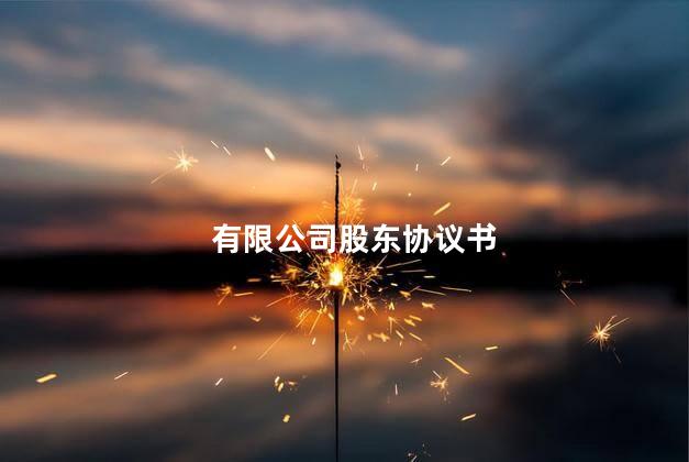 有限公司股东协议书