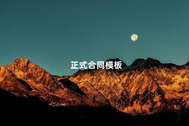 正式合同模板