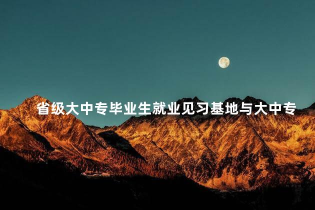 省级大中专毕业生就业见习基地与大中专院校协议书