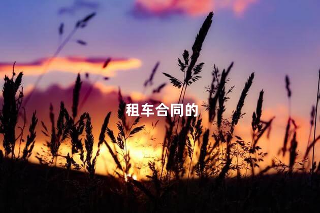 租车合同的