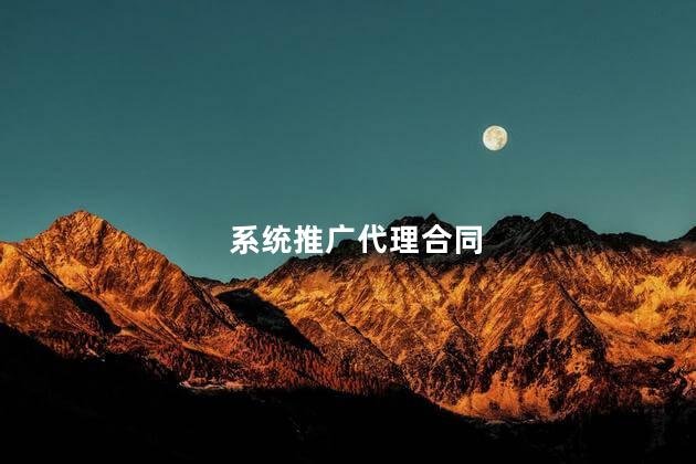 系统推广代理合同