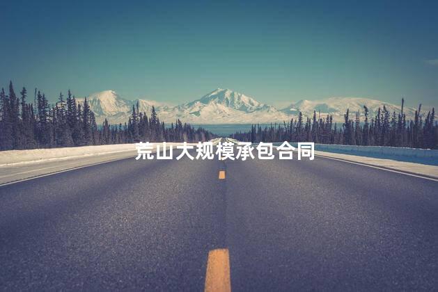 荒山大规模承包合同