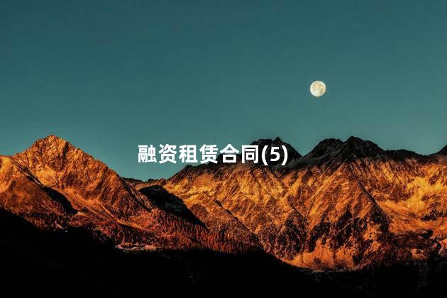 融资租赁合同(5)