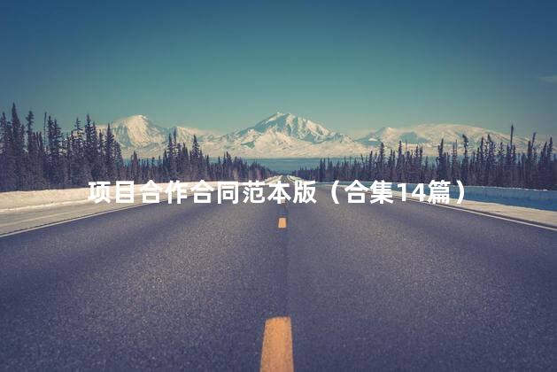 项目合作合同范本版（合集14篇）